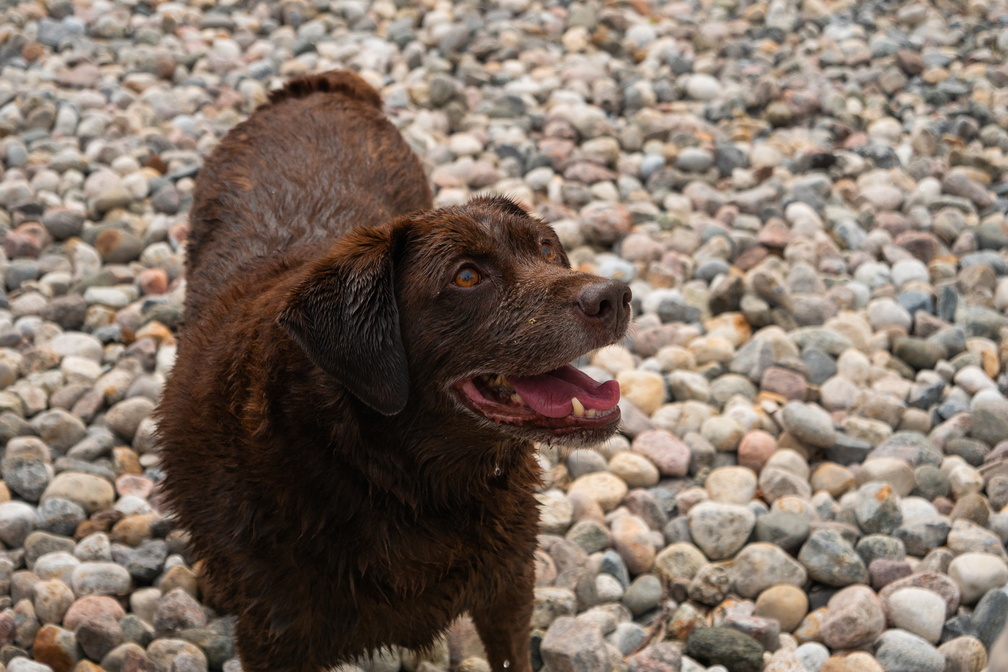 20220804123329-cd583852