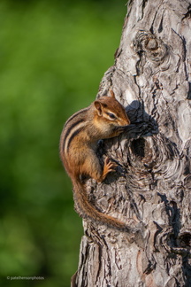 20230101190202-bfff4f38