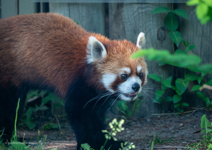 20230101190307-6dff1a07