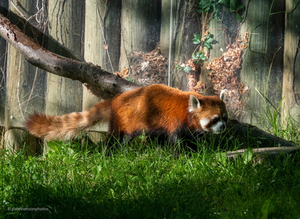 20230101190438-fb32144e