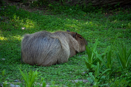 20230101190633-e81f6ff9