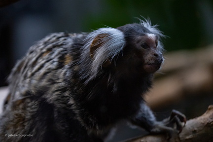 20230101190925-197f580b