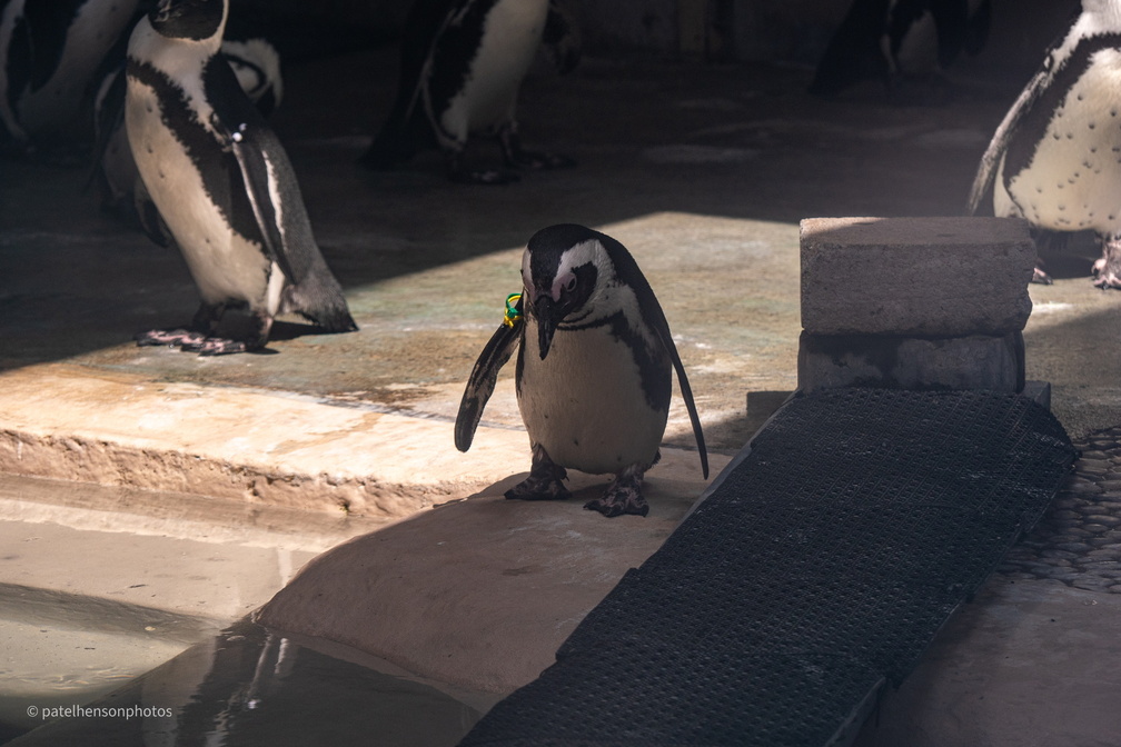 20230101191153-78b561bb