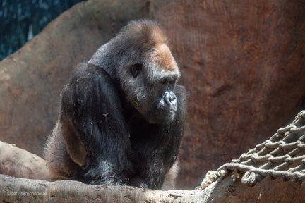 20230101192049-c281b48f