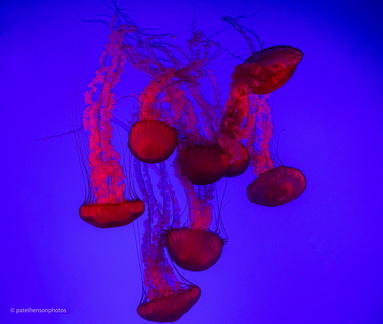 20230101194202-4f3e73ea