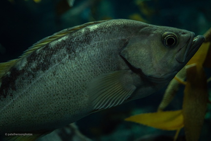 20230101195656-8e34d353