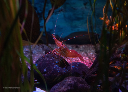 20230101200139-b5a69fea