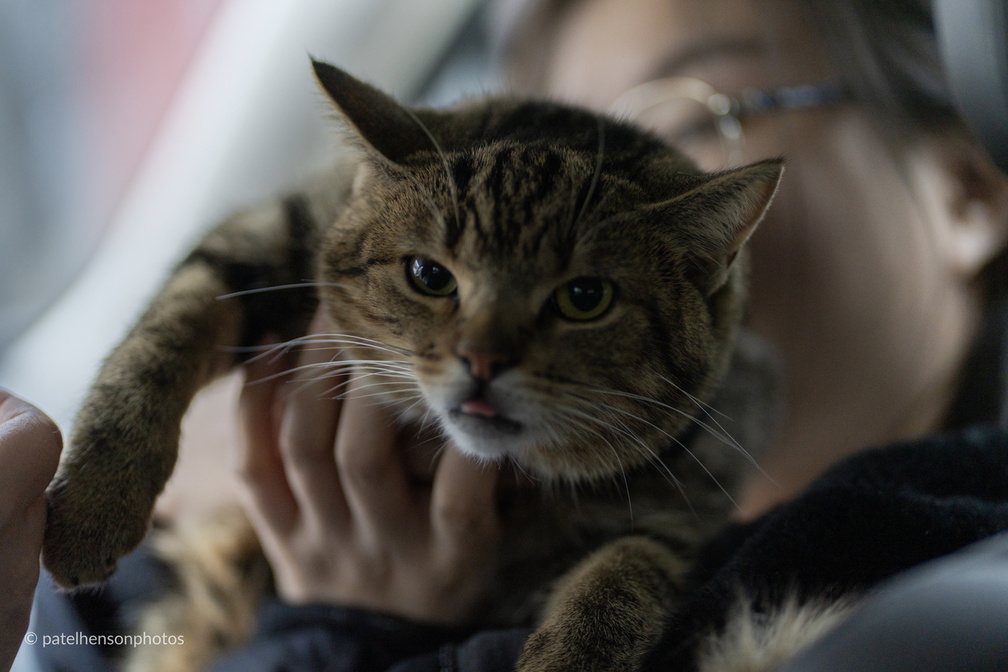 20230325231232-75f0c4a2