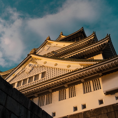 Japan (Early Look!) | 2024/2025