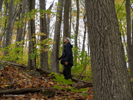 20231012145501-f2276fad