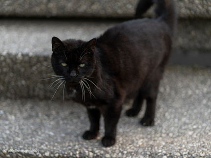 20240106231727-c2a92ef4