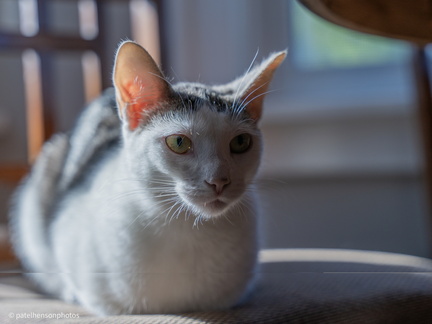 20240106232328-f02ce4cf