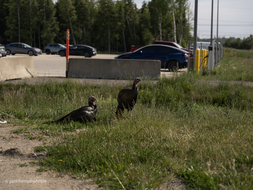 20240106234317-14a0e396