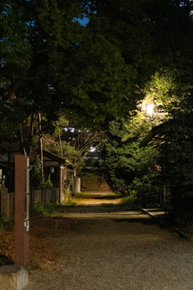 DSC05882
