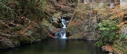 DSC06712