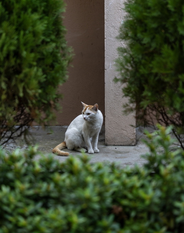 20240126225449-48721169