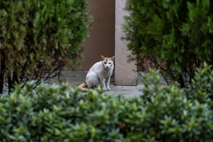 20240127013704-21e7ff64