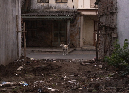 20240127155433-6eaed307