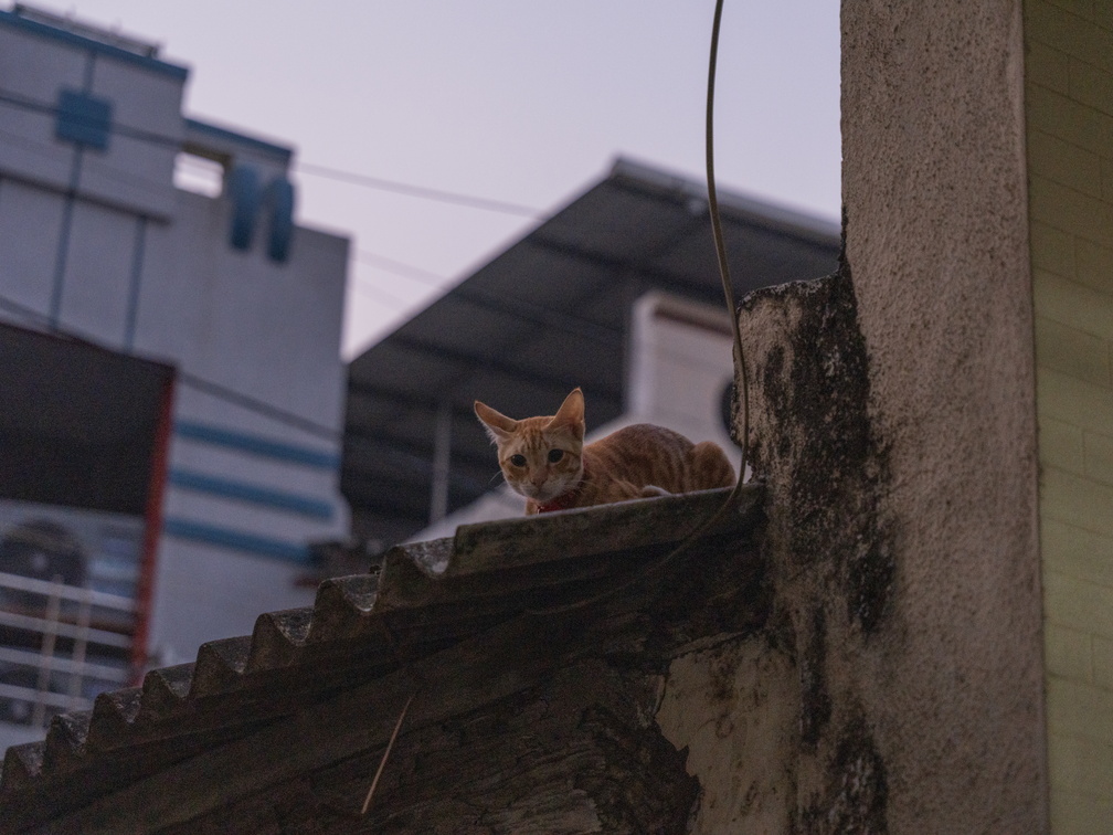 20240127162450-1cb2a5c4