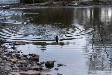 20240219011129-9109683d